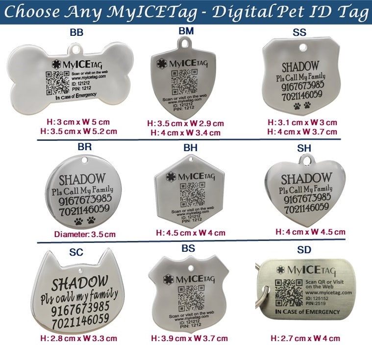 Smart Steel Custom Engraved Dog Tag