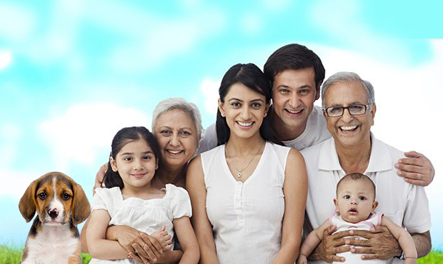 Medical Alert id Profile Medical Alert id Profile