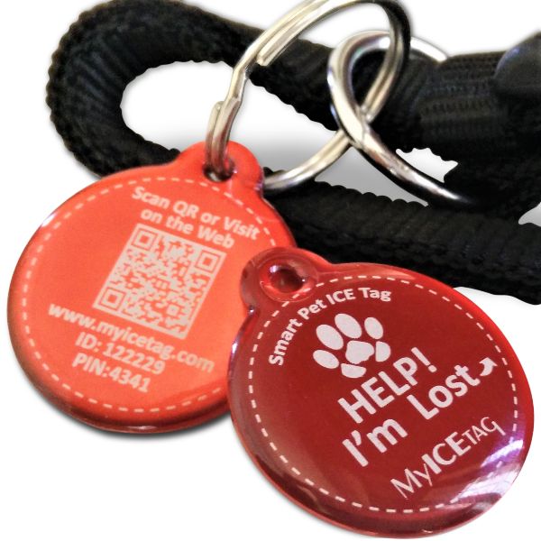 smart pet tags