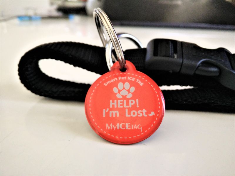 Dog id tags-find them!